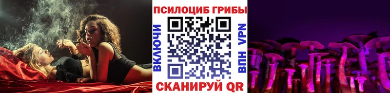 Купить  Ардон  Галлюциногенные грибы GOLDEN TEACHER 